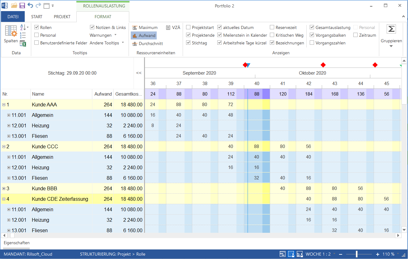 Rollenauslastung im Portfolio in Rillsoft