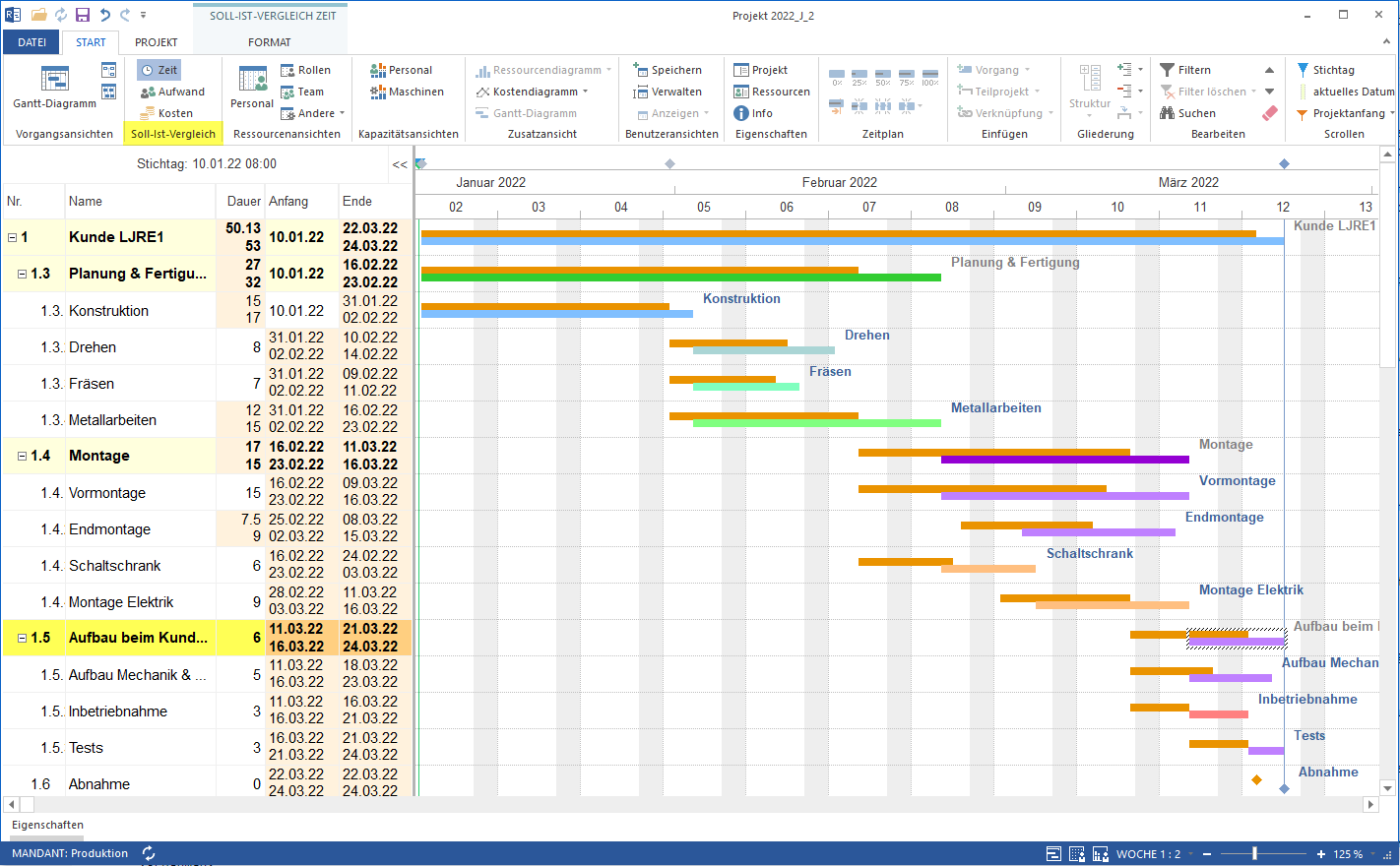 Projektcontrolling Software