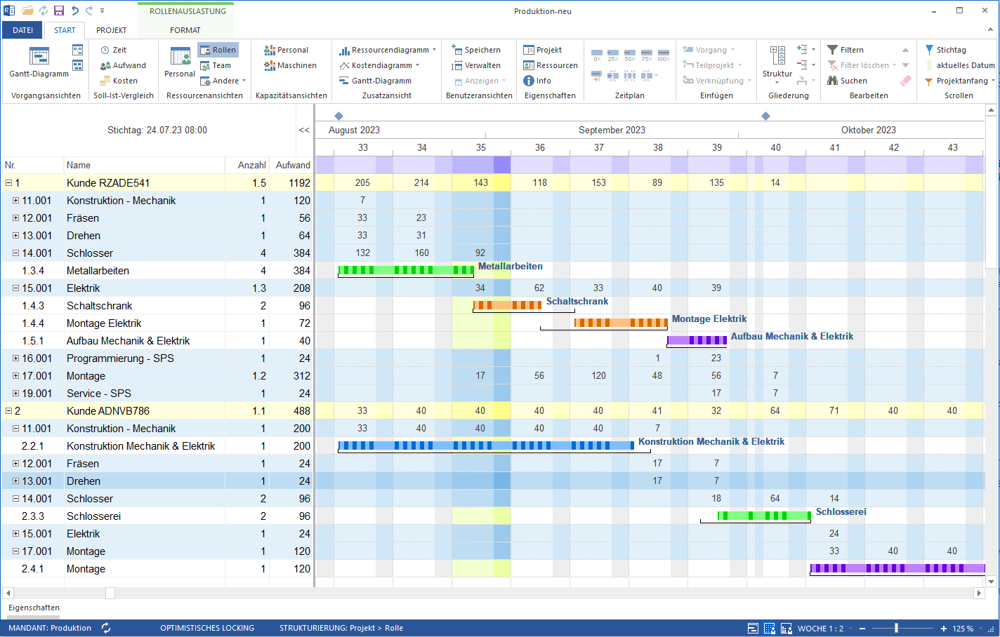 Ressourcenplanung Software