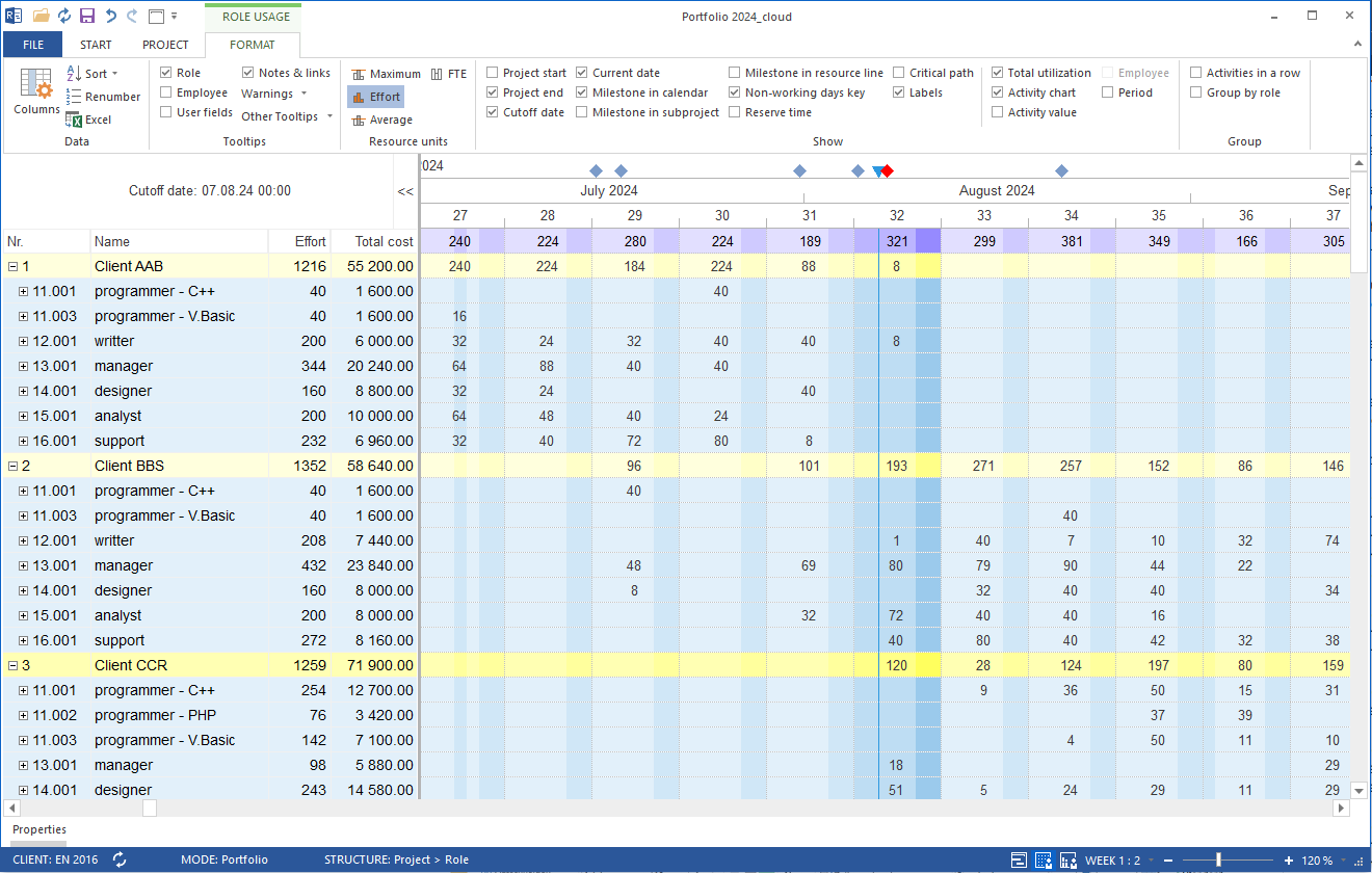 Role Utilization in the Portfolio in Rillsoft