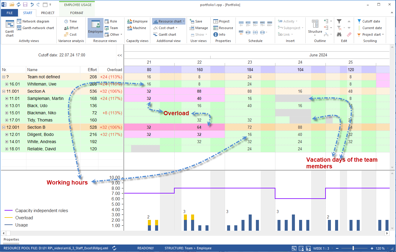 Team Workload View Combined with Resource Diagram