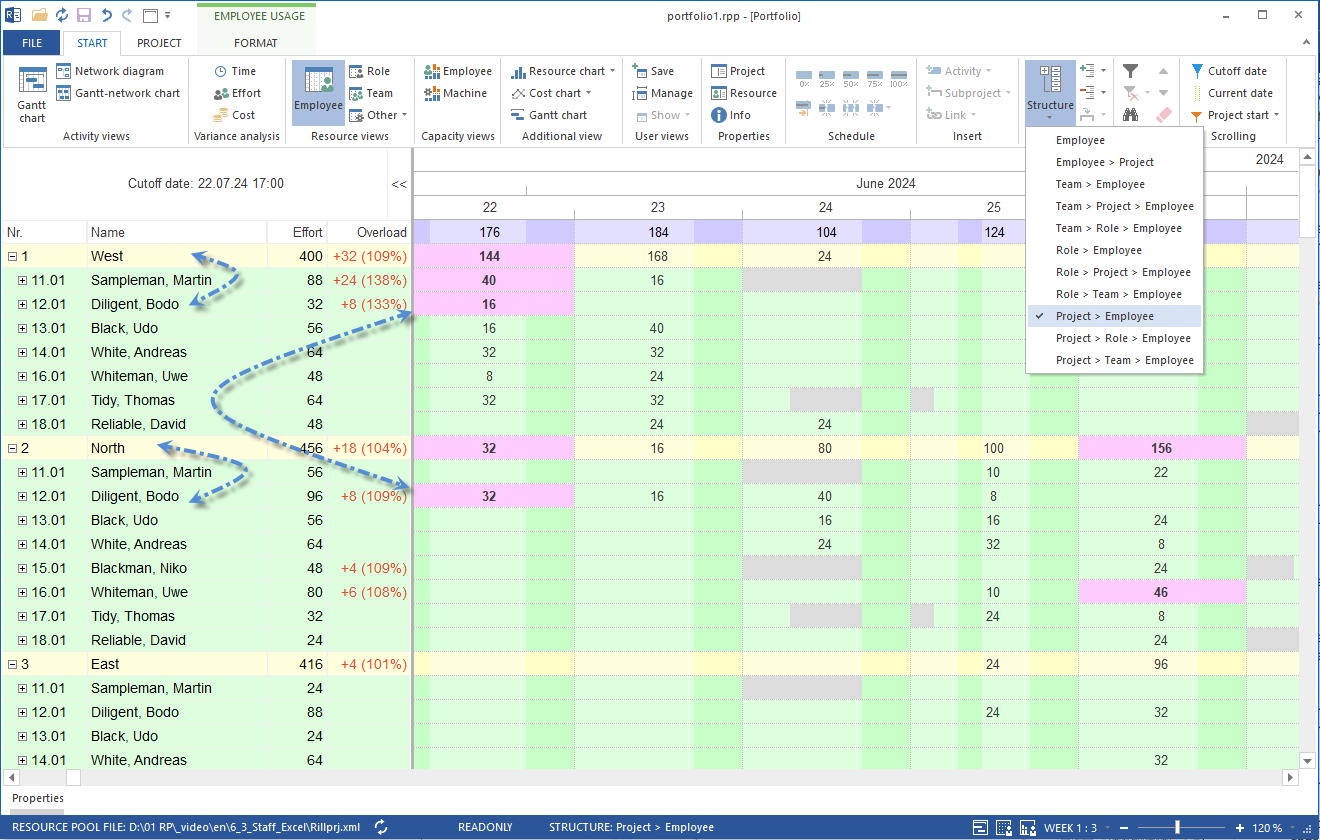 Project Portfolio Structure Project