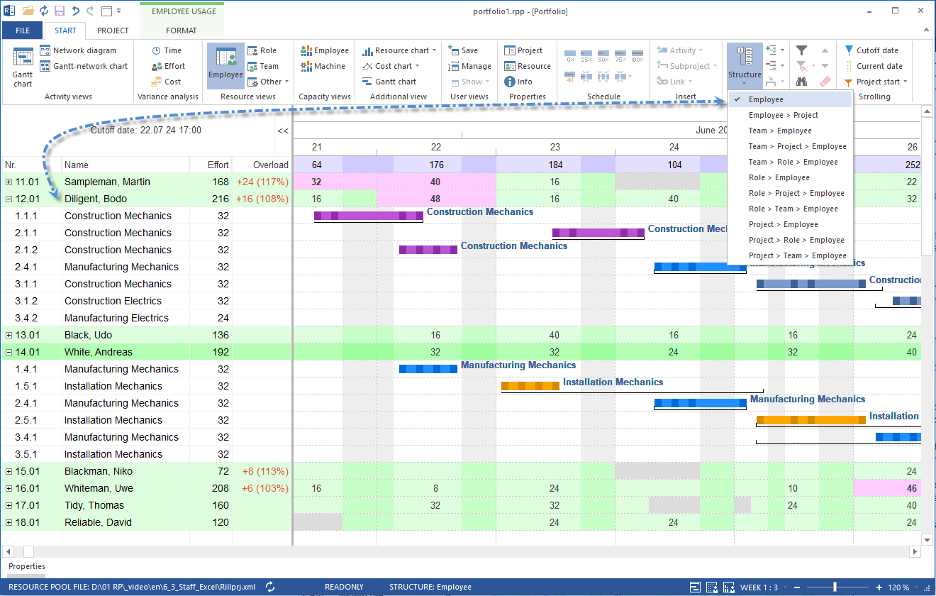 Project Portfolio Structure Personnel