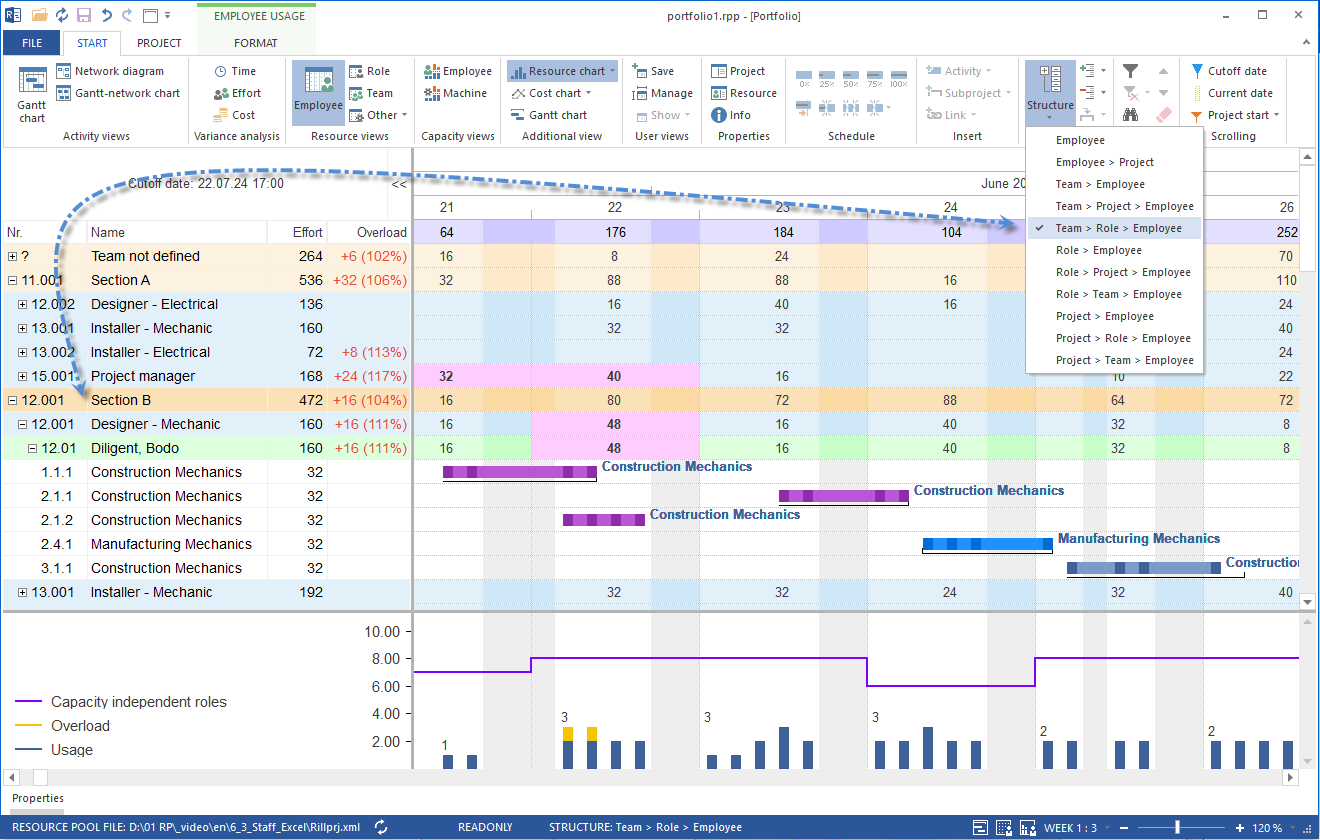 Portfolio Structure Professional Roles