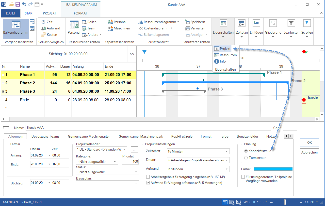 Resource Planning Software with Capacity-based Planning Option